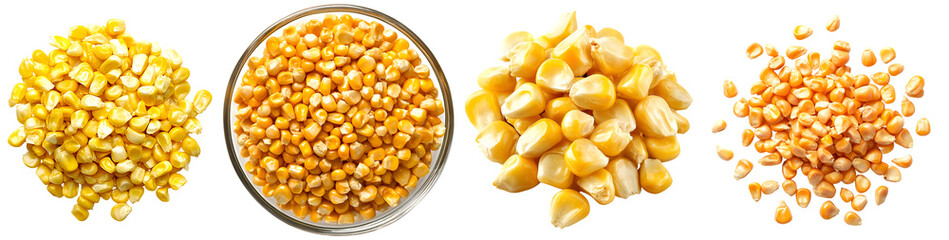 Assorted Corn Kernels in Various Forms Isolated Background