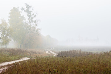 Autumn foggy landscape