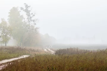 Autumn foggy landscape