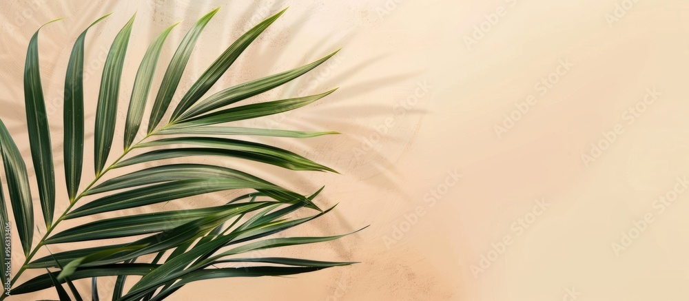 Poster green palm leaves displayed on a soft peach fuzz background with space for additional images intende