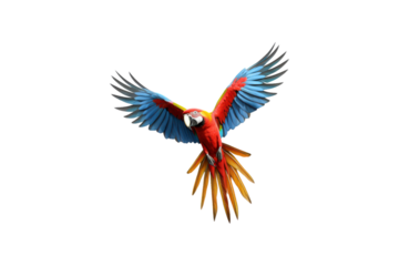 The image features a red scarlet macaw bird, its wings spread out. Suitable for website backgrounds or marketing materials for nature, wildlife, tropical themes, and bird enthusiasts