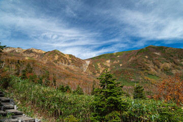 美しい高原の秋　栂池高原