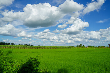 clouds and blue sunny sky,  white clouds over blue sky, Aerial view,  nature blue sky white cleat weather.