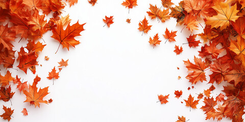 Autumn leaves border, white background