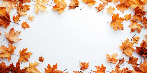 Autumn leaves border, white background