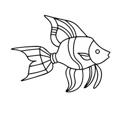 Vector drawing of fish. Outline illustration of a goldfish. doodle Coloring page. Design element for logo, cards, invitations, menus, packaging, posters