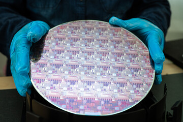 Silicon wafer for manufacturing semiconductor of integrated circuit.
