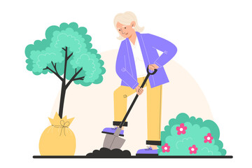 A elderly woman digs the ground with a shovel and plants a young tree