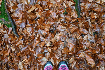 dry autumn leaves on the ground and hiking shoes