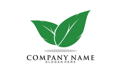 Leaves illustration logo design vector