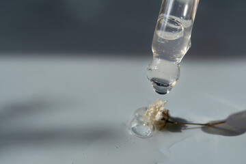 Pipettes with serum and flowers on a blue background