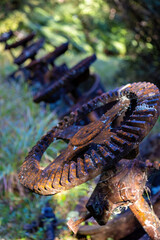 Mining relics at the luck at last gold mine, Coromandel Peninsula, New Zealand