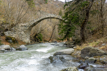 Medieval arched stone bridge over the mountain river Tedzami. Fast flowing water between large stones. Forest and bushes around