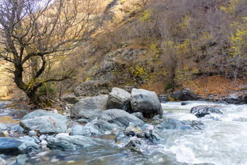 Rocky bank of the mountain river Tedzami. Steep bank overgrown with bushes. Fast flowing water