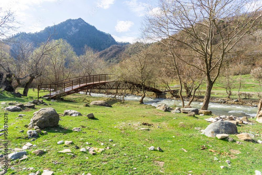 Sticker Iron bridge over the Tedzami river. A clearing with green grass and large stones. Spring trees, mountains.