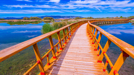 Obraz premium Tablas de Daimiel National Park, Daimiel, Ciudad Real, Castilla La Mancha, Spain, Europe