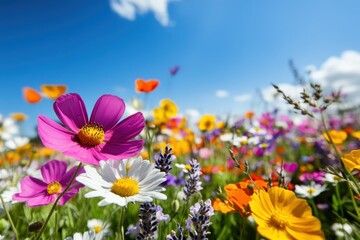 Obraz premium A breathtaking field filled with a diverse array of colorful flowers under a clear and bright blue sky, capturing the essence of natural beauty in a vibrant scene.