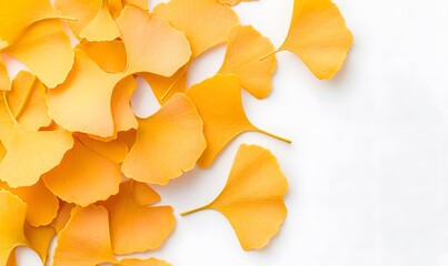 Ginkgo biloba leaves, Generative AI