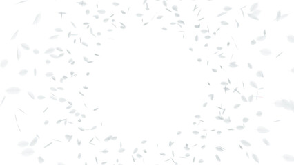 A delicate cascade of fluffy white feathers, floating effortlessly on a transparent background.