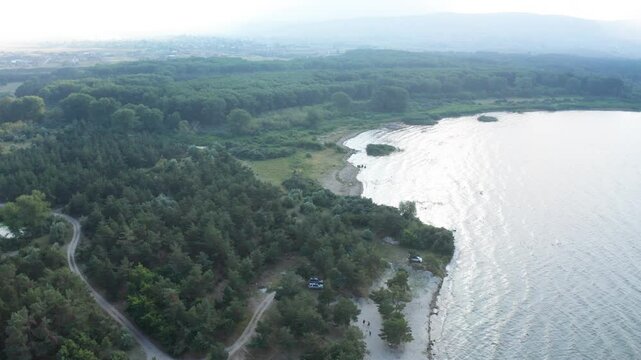Drone shot lake and forest. Drone fly over  fir trees, swampy area. Sevan lake in Armenia, Caucasus.