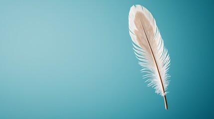 Obraz premium White Feather on Blue: A single white feather, gently suspended against a serene blue backdrop, evokes a sense of lightness, freedom, and the delicate beauty of nature. 