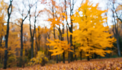 Obraz premium Dreamy autumn scene, blurred autumn forest background