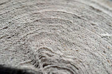 roll of cheap toilet paper