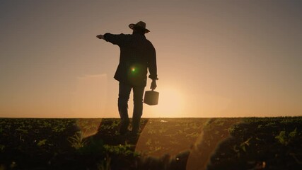 Farming and soil cultivation, silhouette of farmer walking alone in sunrise. Farm worker holding shovel in hand and going to work in agricultural fields in summertime, back view, slow motion shot