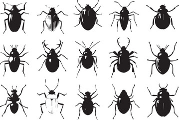Set bugs. Hand drawn vector illustration	