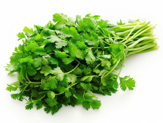 Obraz premium fresh coriander isolated on white background