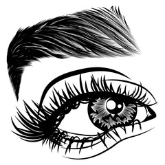 Illustration with woman's eye, eyelashes and eyebrow. Makeup Look. Tattoo design. Logo for brow bar or lash salon.