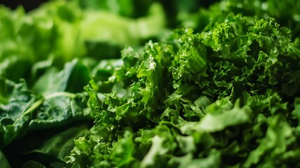 Crisp and Vibrant Macro Photography of Freshly Chopped Leafy Greens Highlighting the Intricate Texture and Vivid Green