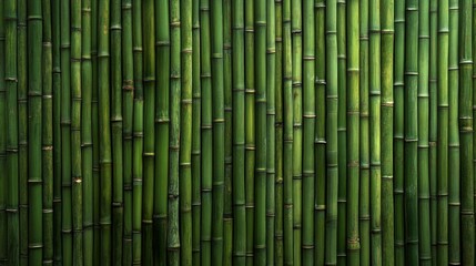 Fototapeta premium Bambu pattern Background 