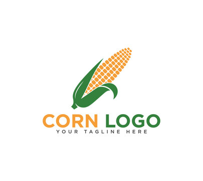 Agriculture corn farm logo design, Vector illustration.