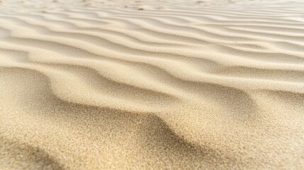 Smooth beach sand with delicate patterns made by the wind, showcasing the natural beauty of coastal landscapes.