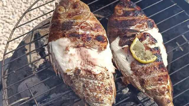cuisson de dorades au barbecue