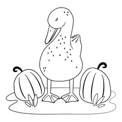 Cute hand drawn black and white cartoon character duck with pumpkins vector illustration isolated on white background for thanksgiving holiday for coloring art