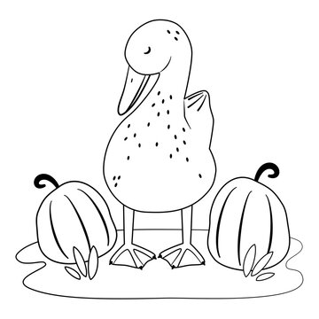 recommend clip art: Cute hand drawn black and white cartoon character duck with pumpkins vector illustration isolated on white background for thanksgiving holiday for coloring art