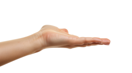 female hand holding something, isolated on white or transparent png