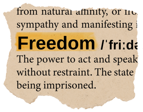 Freedom png dictionary word sticker, Ephemera typography, transparent background