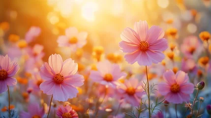 Foto auf Acrylglas Pflegezentrum meadow flowers in early sunny fresh morning Vintage autumn landscape background colorful beautiful fall flowers magical : Generative AI  © The Little Hut