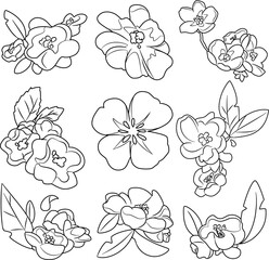 pattern with cherry blossom flower