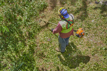 An attentive gardener in overalls and a helmet trims the overgrown area.