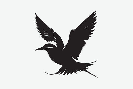 recommend clip art: Common Tern victor art and illustration