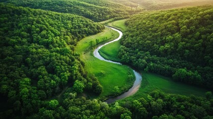 Aerial a serene forested landscape with a winding river cutting through, highlighting the natural beauty and untouched wilderness