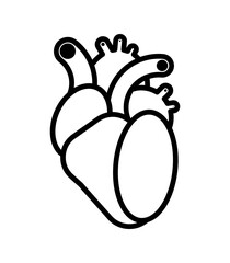 Anatomical heart icon sign. heart symbol
