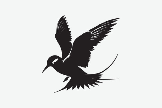 recommend clip art: Common Tern victor art and illustration