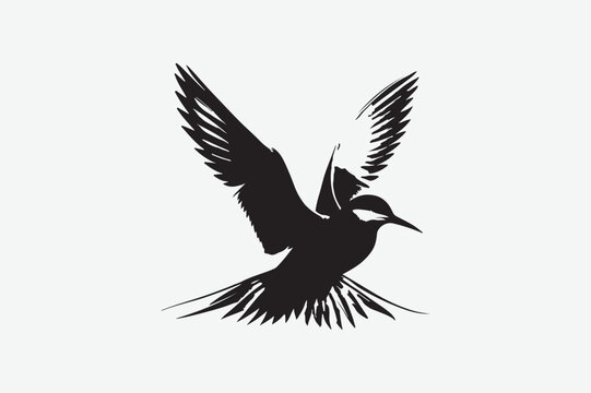 recommend clip art: Common Tern victor art and illustration