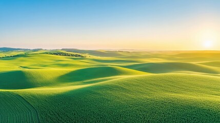 Fototapeta premium Aerial rolling plains with patchwork fields of crops in varying shades of green and yellow, stretching out to the horizon under a clear blue sky