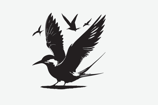 recommend clip art: Common Tern victor art and illustration